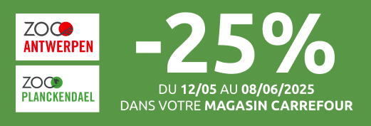 Zoo Anvers & Zoo Planckendael