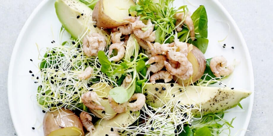 Salade van krieltjes, avocado en grijze garnalen